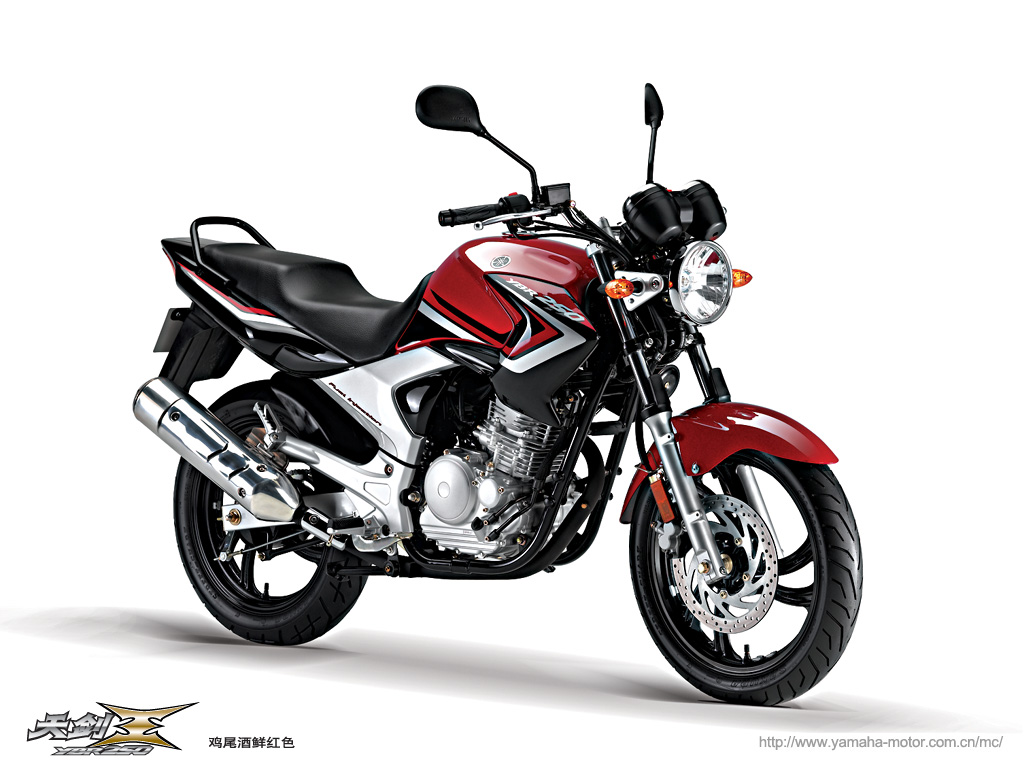中国YAMAHA YBR250（天剣王）