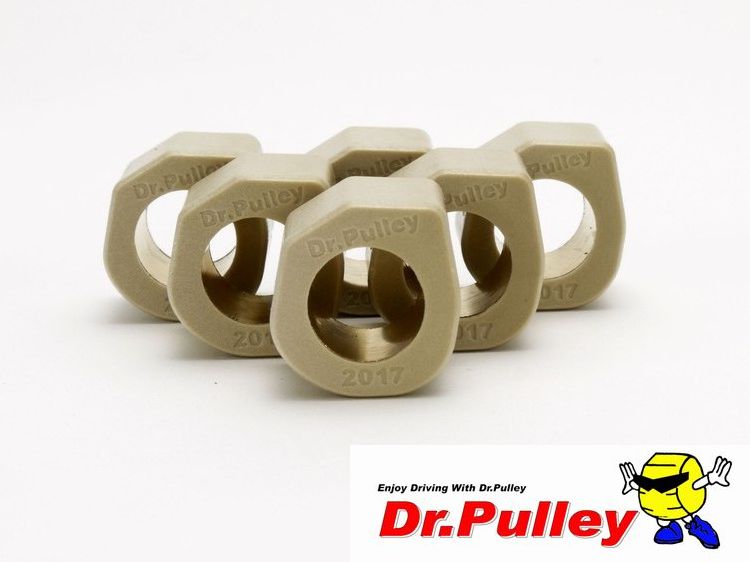 Dr.Pulley(ドクタープーリー）スライディングウェイトローラー φ20×17　(10.0g) 6個セット SR2017-10.0