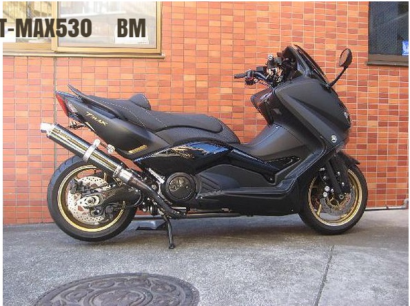 CORES コアーズ Exhaust T-MAX530 CE01S－Type　VerBM CE01-TM0001-BM マフラー JP-CRS-MU003BM