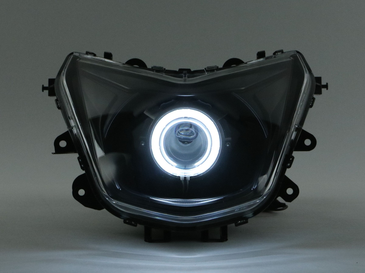 GAMMAS 4TH CYGNUS X(シグナスＸ)魚眼ヘッドライト+PVCイカリング白  HID40W 6000K   コンプリートキット TA-GMS-HE005